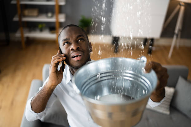 Local water damage restoration in Chaparral, NM