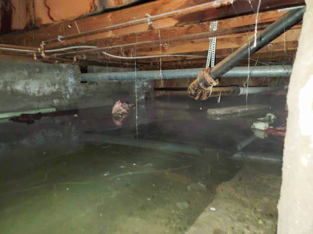  Chaparral, NM Water damage restoration Pros