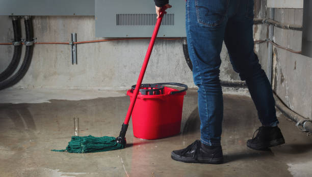 Best Basement water damage restoration  in Chaparral, NM