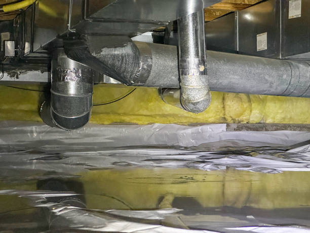 Best Residential water damage restoration  in Chaparral, NM
